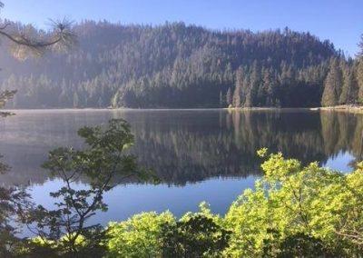 Lake Reflections